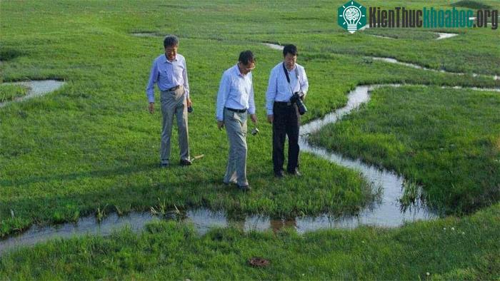 Con sông hẹp nhất thế giới chỉ rộng vài centimet ảnh 1