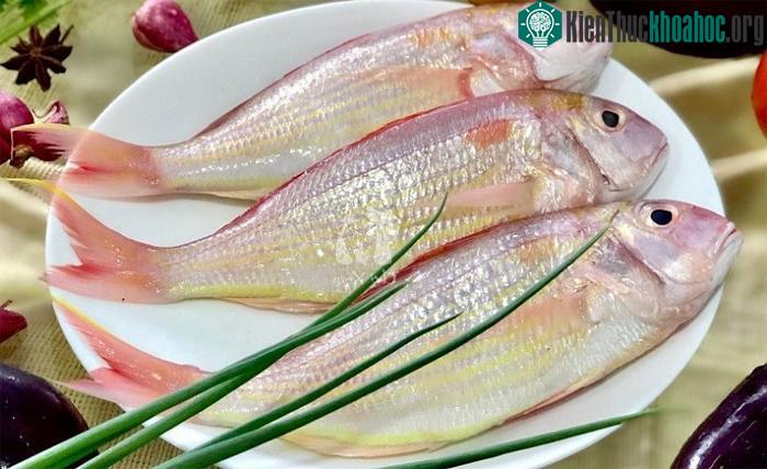 Cá hường