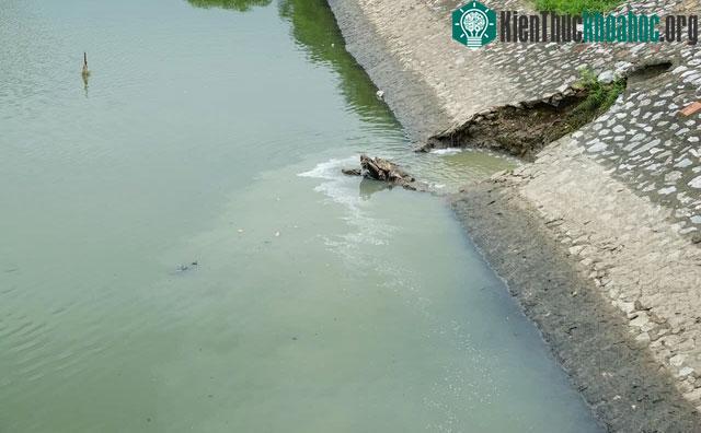 Đến buổi chiều, nước sông bắt đầu đục, chuyển màu đen do nước thải từ các ống cống chảy ra.