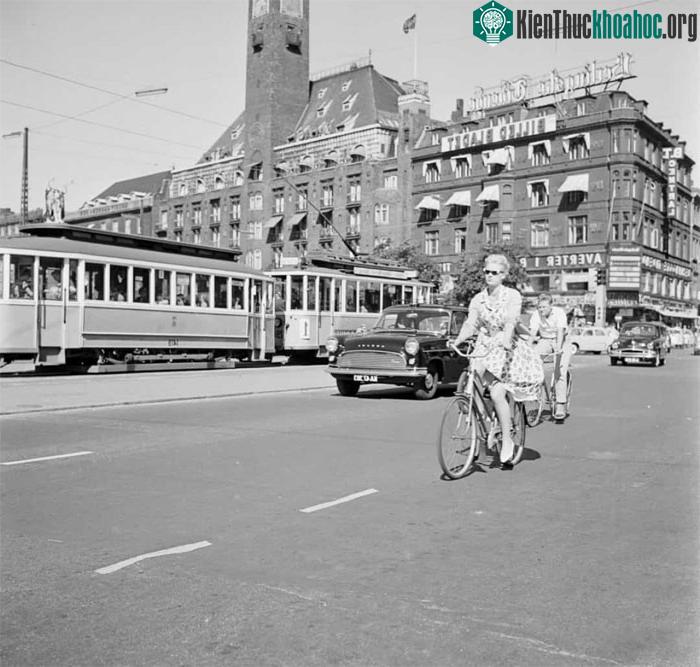 Một người phụ nữ đạp xe trên đường phố Copenhagen, Đan Mạch