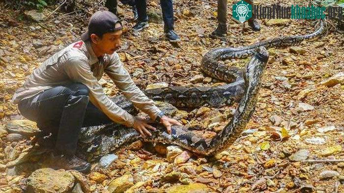 Số phận của nó sẽ ra sao?