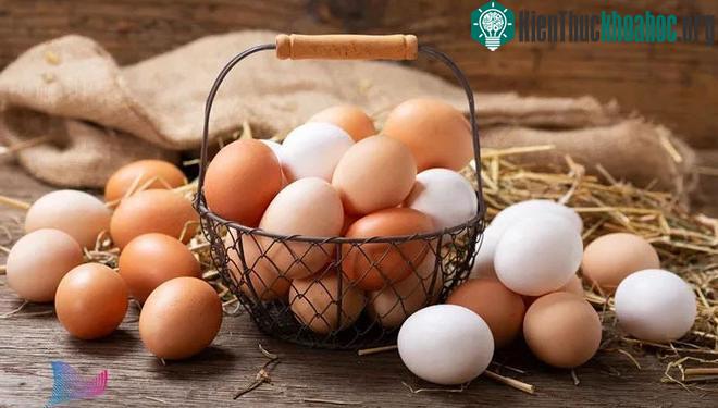 Liều lượng chất dinh dưỡng có trong các sản phẩm trứng khác nhau có rất ít sự khác biệt.