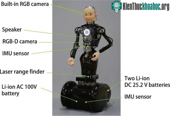 Cấu tạo của robot Ibuki