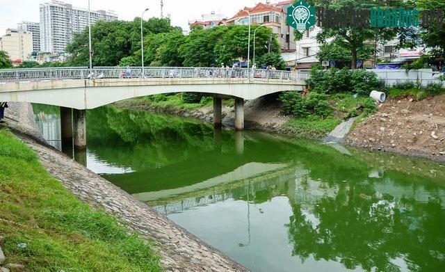Ảnh cận cảnh dòng nước xanh ngắt hiếm thấy tại sông Tô Lịch, cá bơi 'nhộn nhịp' hàng đàn ảnh 2