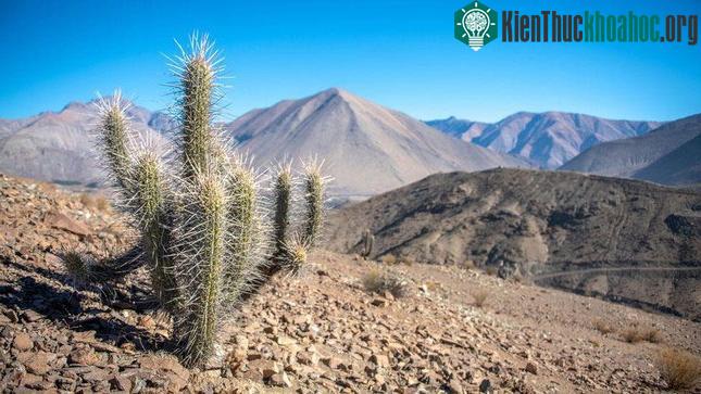 Sa mạc Atacama