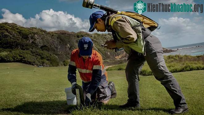 Các nhân viên đặt bẫy chuột