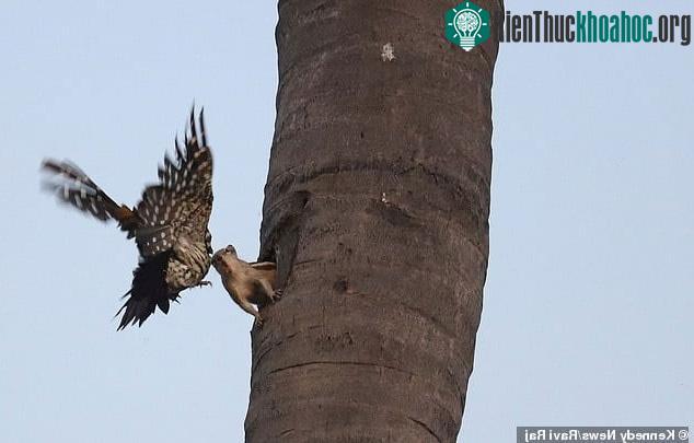 "Dám làm phiền khi bà đang ngủ à...".