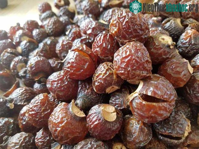 Dung dịch bồ hòn có thể giúp bạn vệ sinh những tấm kiếng bị mờ, bồn rửa mặt ố vàng...