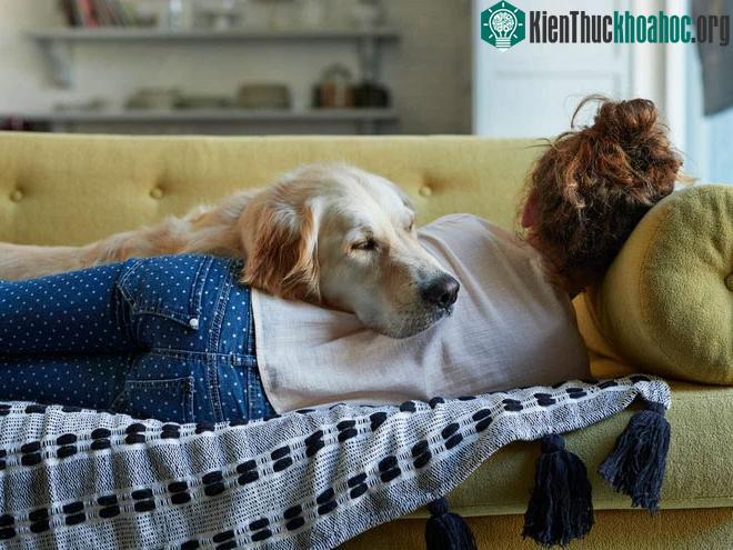 &nbsp;Giấc ngủ đến dễ dàng hơn với những người đưa việc tập thể dục vào thói quen hàng ngày.