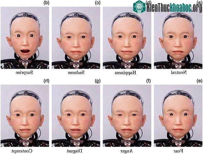 Ibuki thậm chí có khả năng tạo các biểu hiện trên khuôn mặt trong các cuộc trò chuyện