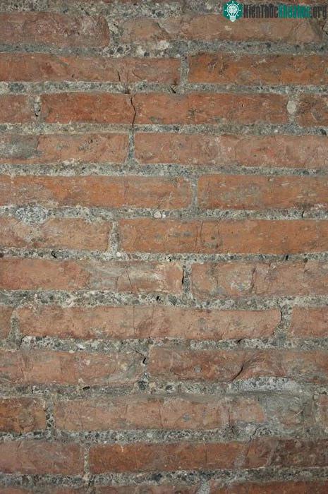 Lớp tường thành kiên cố tự tái tạo của lăng mộ cổ (Đại học Utah).&nbsp;
