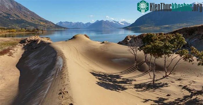 Sự hình thành sa mạc Carcross là kết quả của 10.000 năm lớp vỏ Trái đất thay đổi.