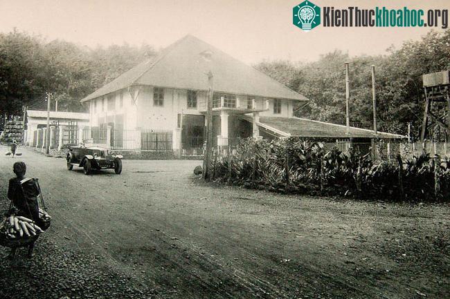Phần lớn xe hơi ở Việt Nam thời thuộc địa được dùng cho giao thông công cộng