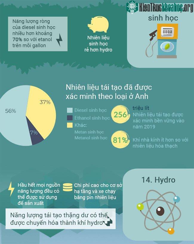Top 14 nguồn năng lượng thay thế tiềm năng có thể thay đổi thế giới ảnh 4