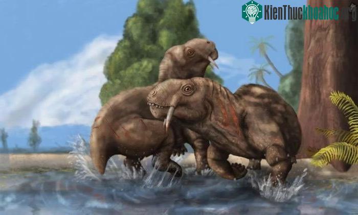 &nbsp;Chức năng của răng kiếm đa dang hơn những gì các nhà khoa học vẫn nghĩ.&nbsp;