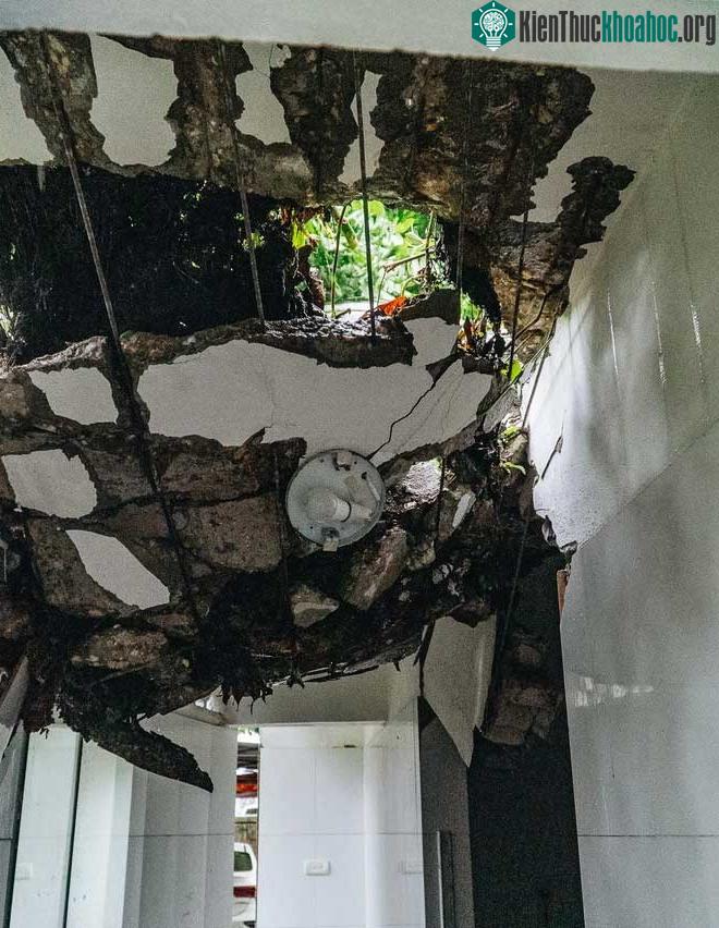 Hà Nội: Bão số 7 gây mưa lớn cả ngày, nhiều cây xanh bật gốc, đè bẹp "xế hộp" Camry ảnh 4