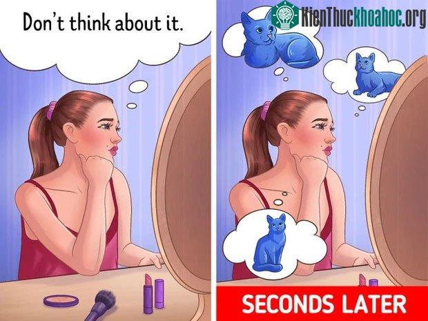 Không muốn nghĩ nhưng não bảo đừng quên