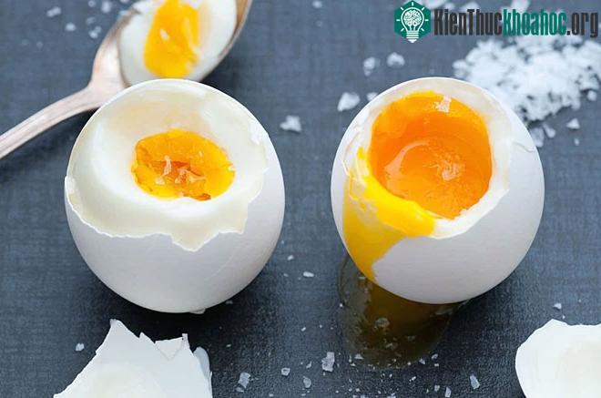 Lòng đỏ chứa nhiều dinh dưỡng hơn lòng trắng.