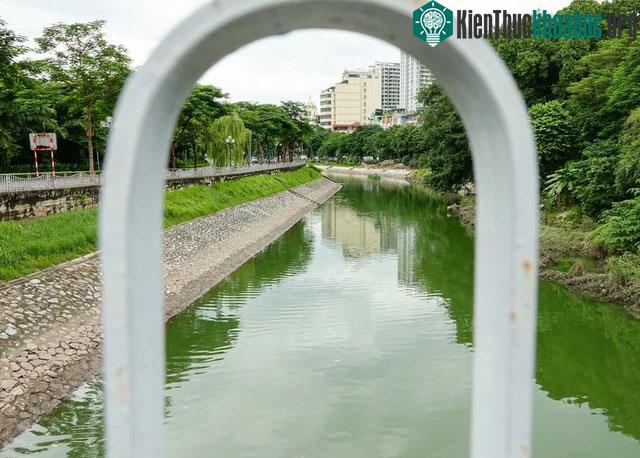 Màu xanh ngắt đẹp mắt trên sông Tô Lịch.