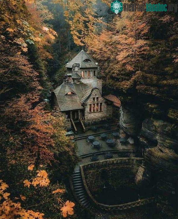 Một quán cà phê nằm trong rừng ở Cộng hòa Czech.