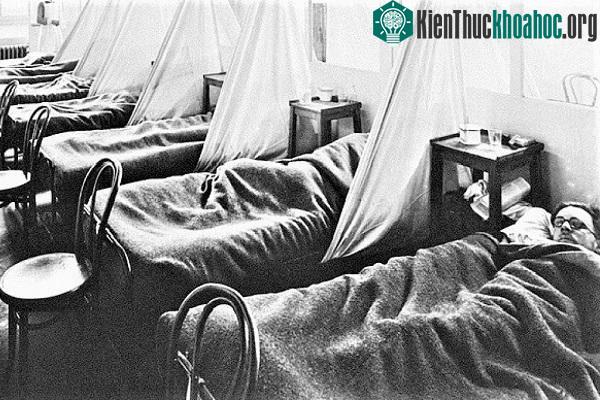 Nguồn gốc và phương pháp điều trị bệnh viêm não hôn mê vẫn rất khó khăn.