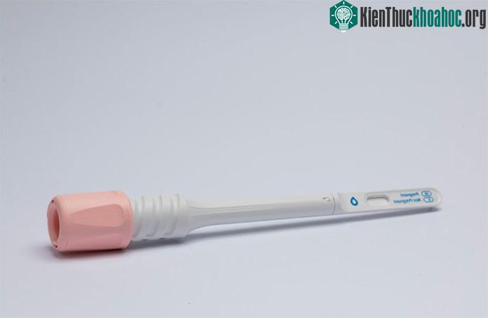 Que thử thai bằng nước bọt SaliStick