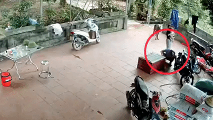 Khoảnh khắc người đàn ông bị con trăn khủng tấn công