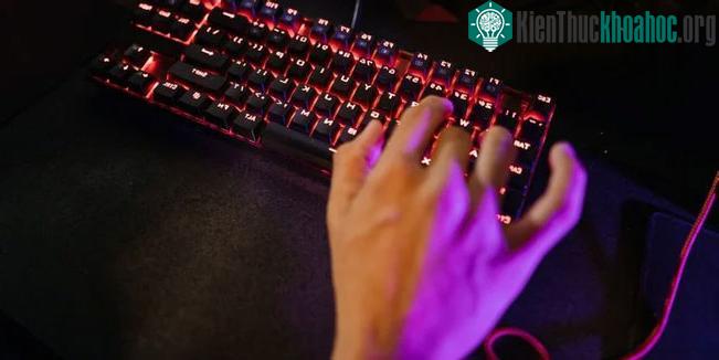Bên dưới mỗi phím bấm (keycap) có một công tắc trượt (switch)