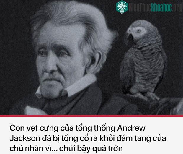 Top 13 sự thật "ảo" nhất lịch sử, nghe còn điêu hơn cả kịch bản phim Hollywood ảnh 0