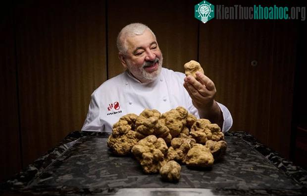 Truffle từ lâu đã được biết đến với nhiều nền văn hóa khác nhau