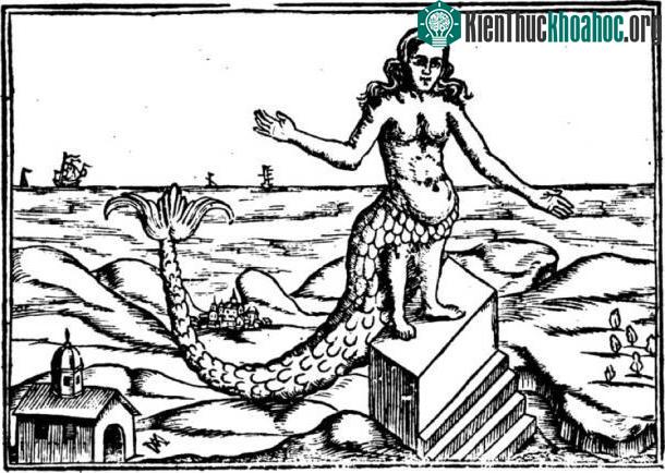 Những câu chuyện về người cá sớm nhất xuất hiện ở Assyria cổ đại