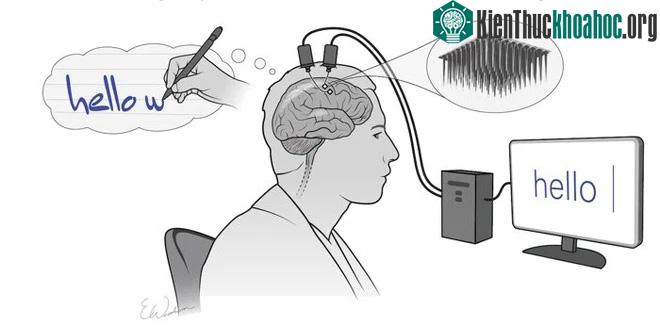 Công nghệ giao diện não-máy tính (Brain-Computer Interface BCI).