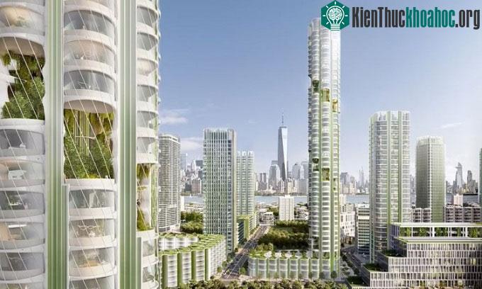Thiết kế của nhà chọc trời hút carbon Urban Sequoias.