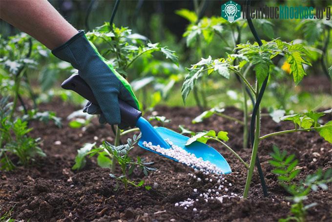 Kỹ thuật mới này có chi phí rẻ hơn gấp 3 lần và thân thiện với môi trường hơn.