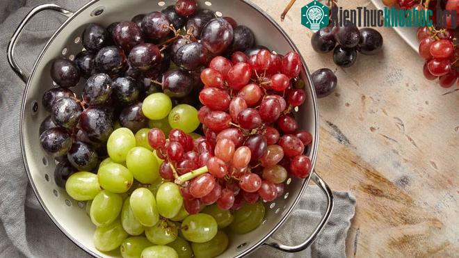 Nghiên cứu mới: Nho trong khẩu phần ăn giúp tăng lợi khuẩn ruột, giảm lượng choleserol trong máu ảnh 0