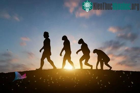 Tốc độ tiến hóa cao khó có thể tồn tại lâu dài