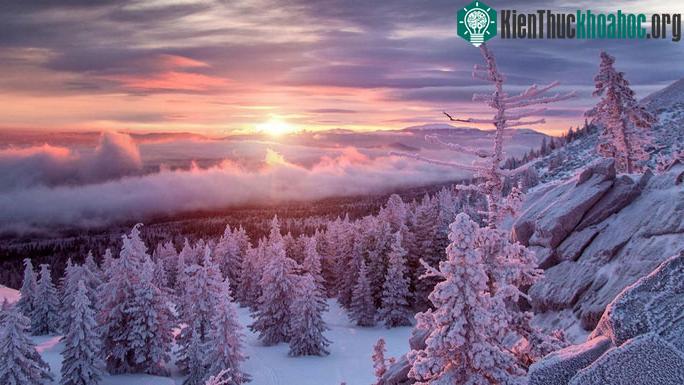 Siberia