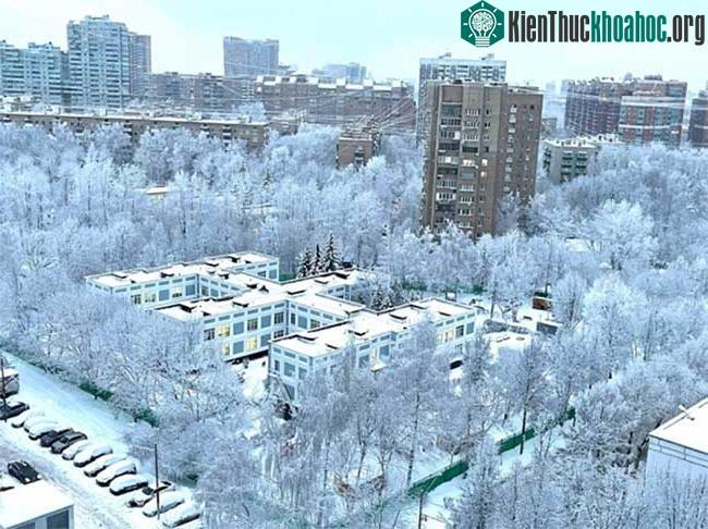 Nhìn từ trên cao, hàng cây đầy tuyết trắng bao trọn một ngôi trường.