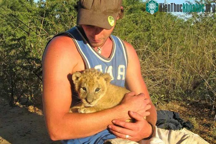 Valentin Gruener phát hiện một con sư tử nhỏ lạc đàn trong một sa mạc ở Botswana