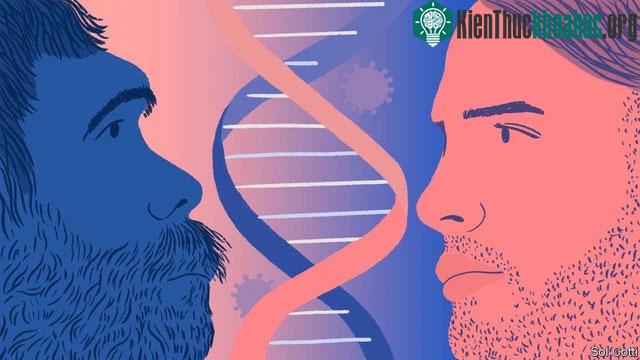 Một bộ phận Homo Sapiens đã hòa huyết với Neanderthal và sinh ra những đứa con lai.