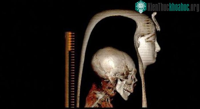 Các nhà khoa học sử dụng kỹ thuật hiện đại để tái hiện chân dung, khung xương vị Pharaoh.