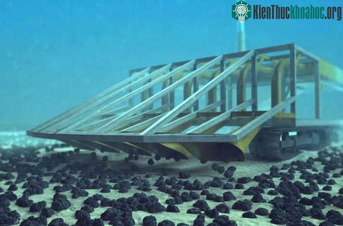 "Mổ xẻ" ụ đất dưới đáy biển sâu 4000m, chuyên gia kinh ngạc vì thứ đắt giá bên trong ảnh 0
