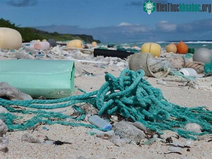 Các hạt vi nhựa xuất hiện ở những sợi dây thừng đã qua sử dụng.