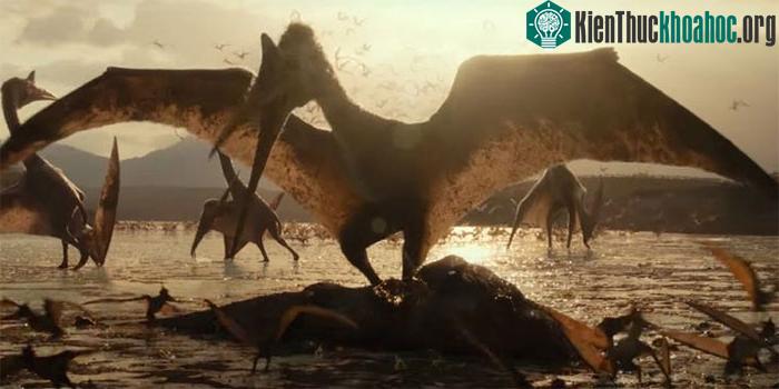 Khủng long Quetzalcoatlus