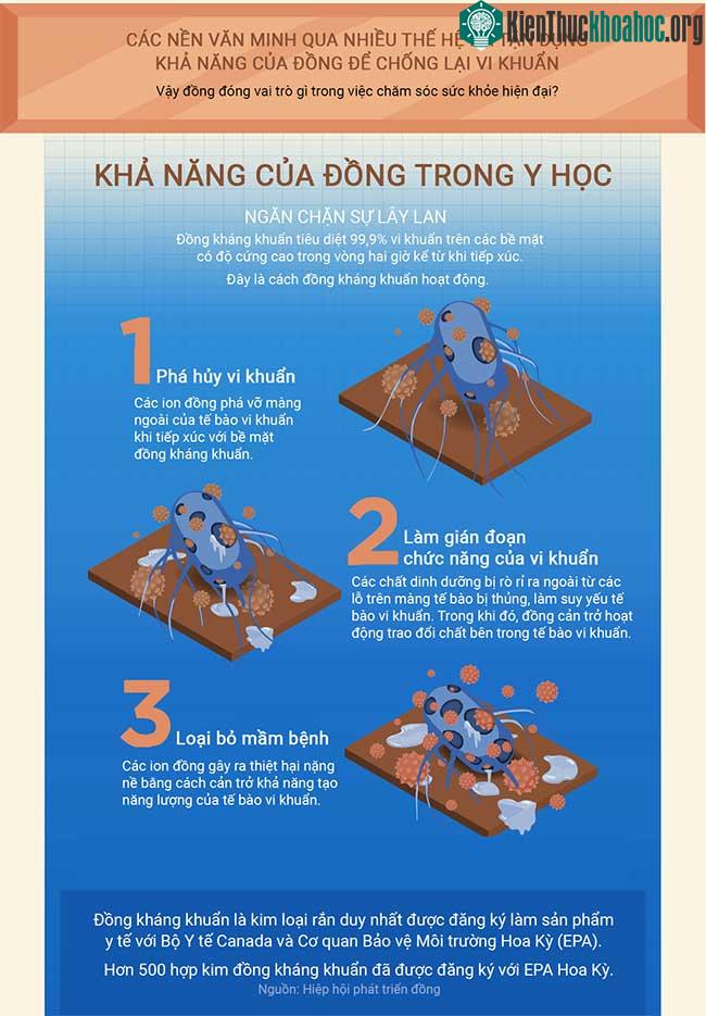Đồng - Một trong số ít kim loại có khả năng kháng khuẩn ảnh 1