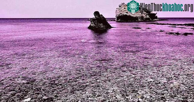 Điểm đáng chú ý nhất của hòn đảo là 10% dân số của nó hoàn toàn bị mù màu