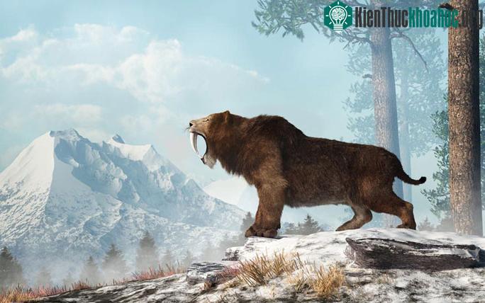 Mèo răng kiếm Homotherium