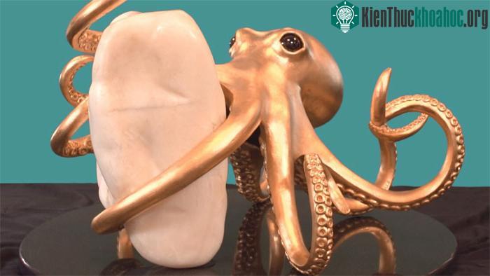 Viên ngọc có hình gần giống chiếc răng, được gọi là "Giga Pearl".