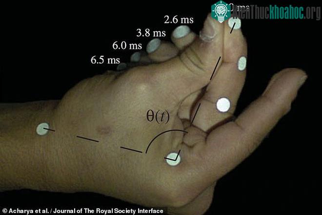 Cú búng tay có thể là chuyển động gia tốc nhanh nhất của con người.