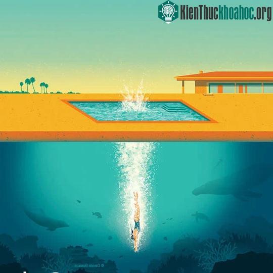 Khi cơ hội đến, nhất định phải nắm bắt, không được chần chừ